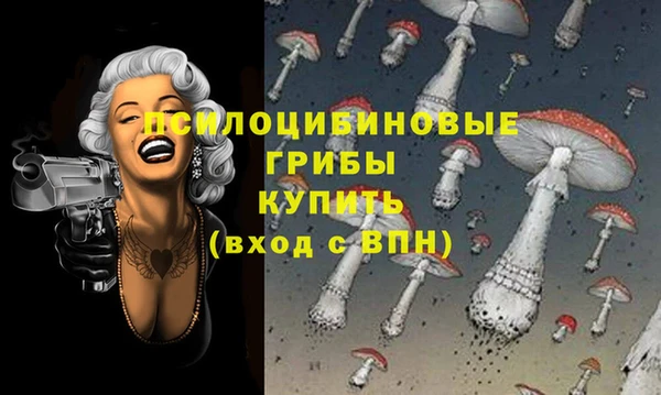 дмт Арсеньев