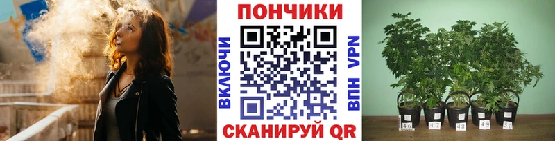 дарнет шоп  Орлов  Бошки Шишки Amnesia 